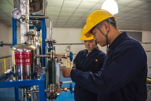 化工綜合技能實(shí)訓(xùn)中心 推動生物化工產(chǎn)品技術(shù)研發(fā)的實(shí)踐平臺